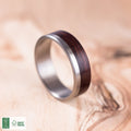 Brushed titanium and Rosewood ring. Engagement ring, wedding ring. Ring for men